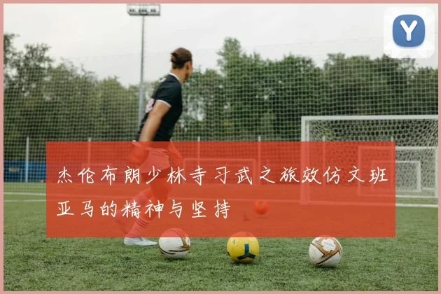 杰伦布朗少林寺习武之旅效仿文班亚马的精神与坚持